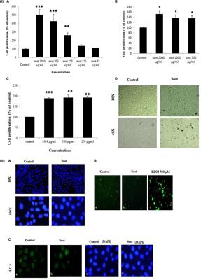 Proliferation of Lung Epithelial Cells Is Regulated by the Mechanisms of Autophagy Upon Exposure of Soots